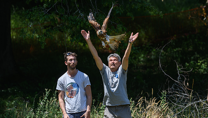 Une mobilisation et une chaîne de solidarité pour le sauvetage d’un jeune Milan royal en Haute-Garonne